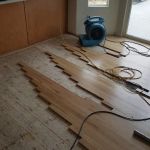 Rapid Dry Restoration