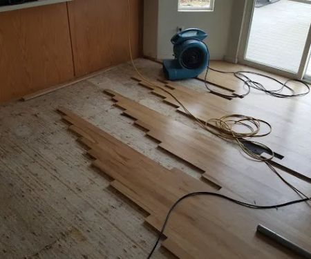 Rapid Dry Restoration