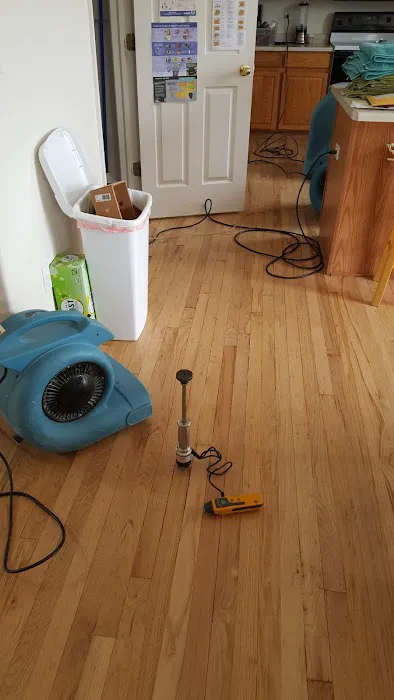 Rapid Dry Restoration Picture 7