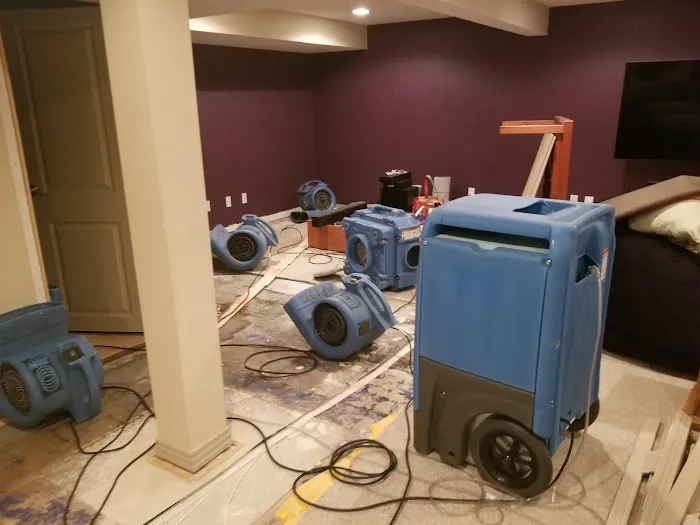 Rapid Dry Restoration Picture 8