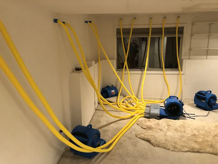 Restoration 1 of Flatirons Picture 3