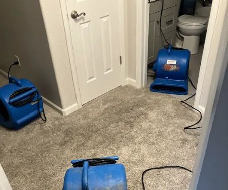 Restoration 1 of Flatirons