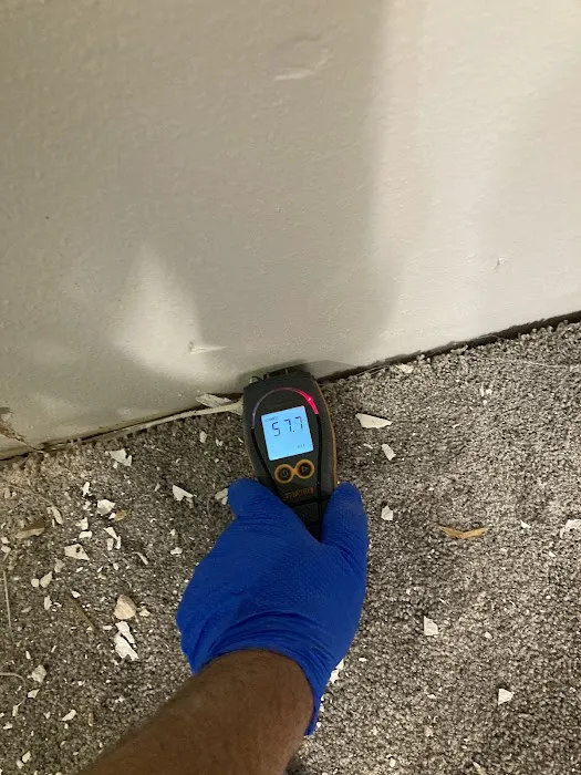 Restoration 1 of Flatirons Picture 8