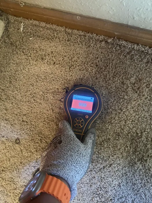 Elements of Restoration Picture 5