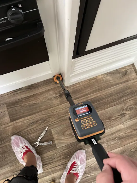 Elements of Restoration Picture 2