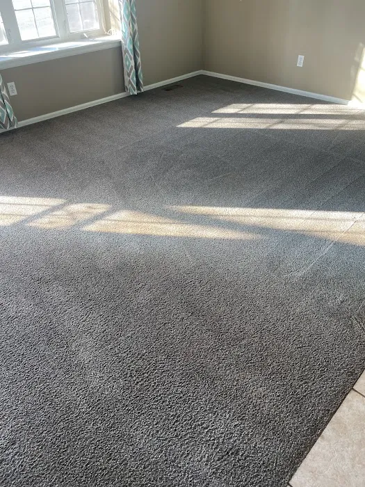 Bear Cleaning & Restoration Picture 2