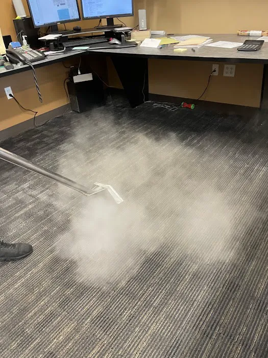 Bear Cleaning & Restoration Picture 6