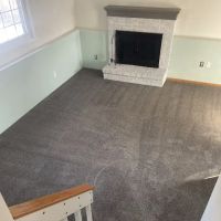 Bear Cleaning & Restoration ico