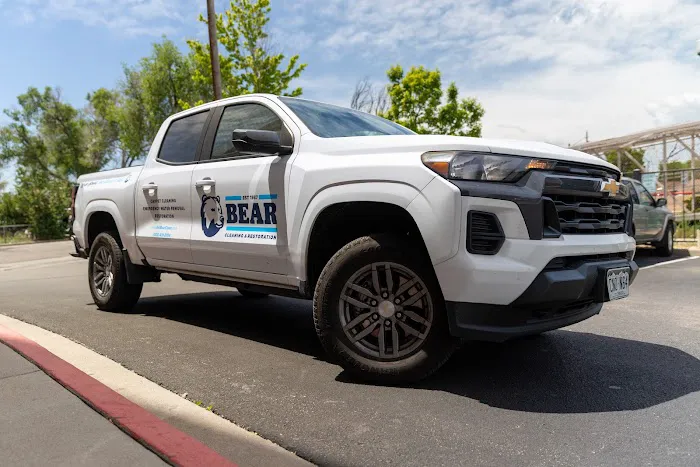 Bear Cleaning & Restoration Picture 4