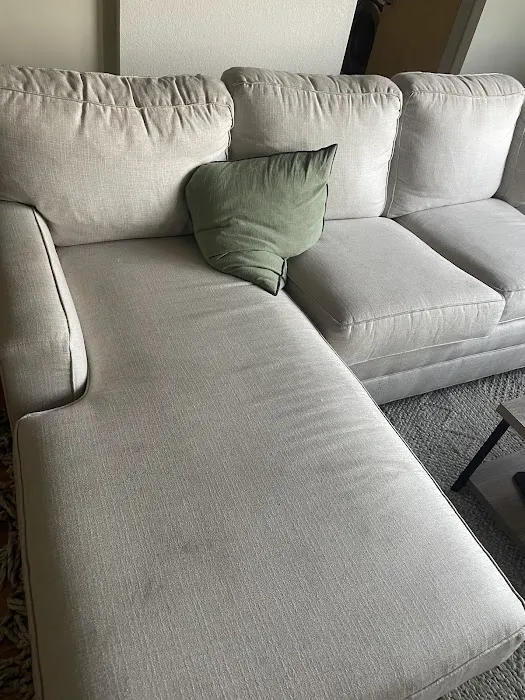 Bear Cleaning & Restoration Picture 9