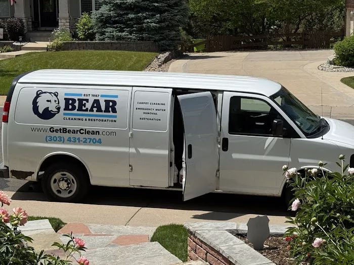 Bear Cleaning & Restoration Picture 3