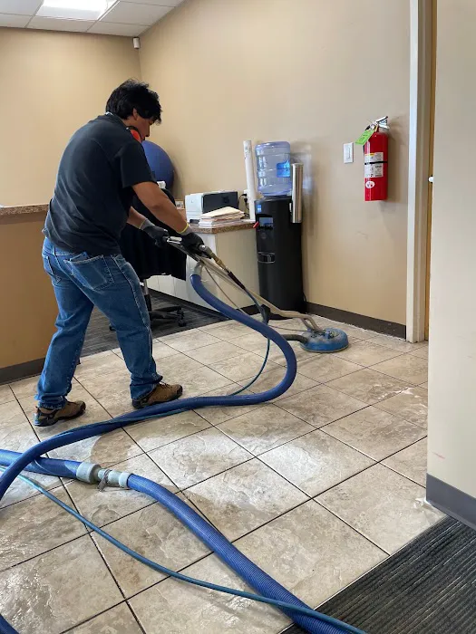 Bear Cleaning & Restoration Picture 10