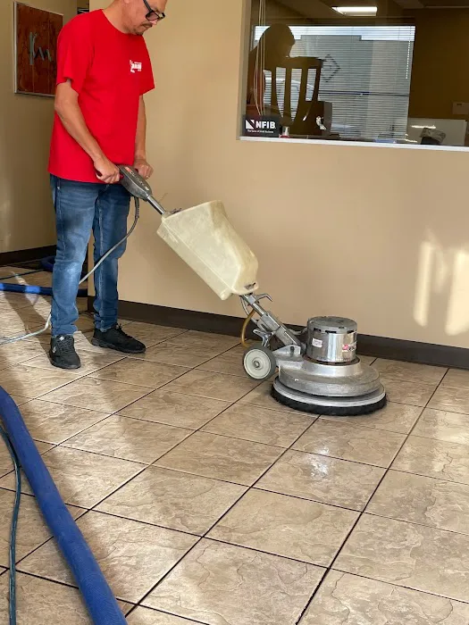 Bear Cleaning & Restoration Picture 8