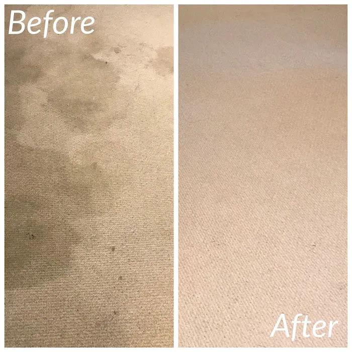 Denver Water Damage Restoration Services Picture 7