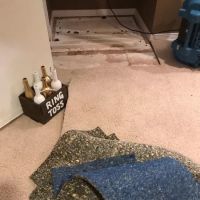 All Pro Restoration ico