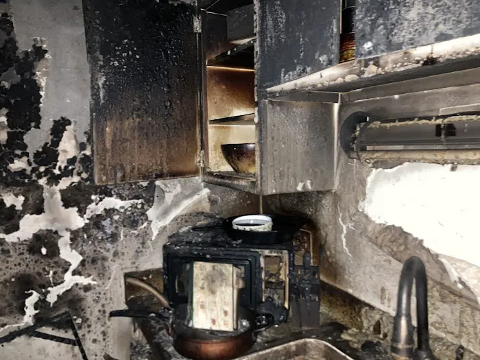 Phoenix Contents Restoration Picture 2