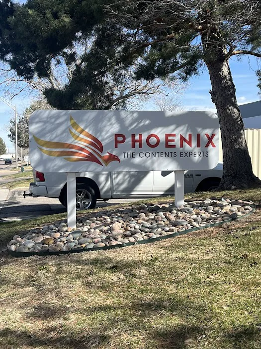 Phoenix Contents Restoration Picture 9