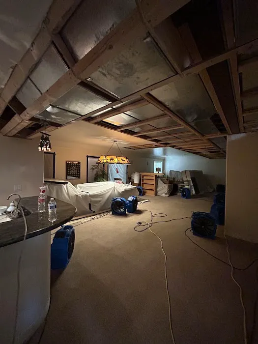 Restoration 1 of Aurora Picture 2