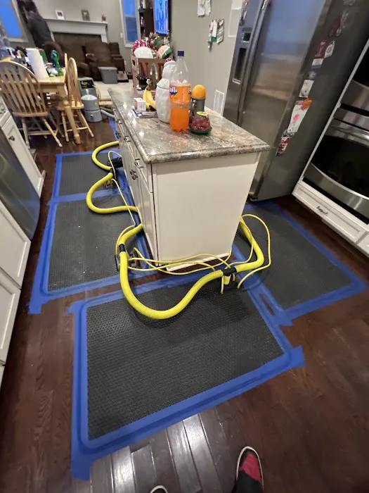 Restoration 1 of Aurora Picture 1