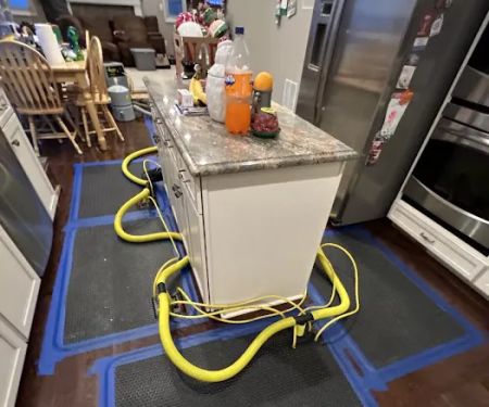 Restoration 1 of Aurora