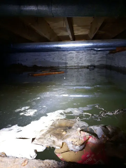 ARC Restoration Picture 5