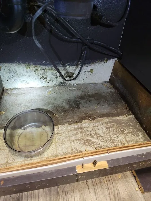 ARC Restoration Picture 9