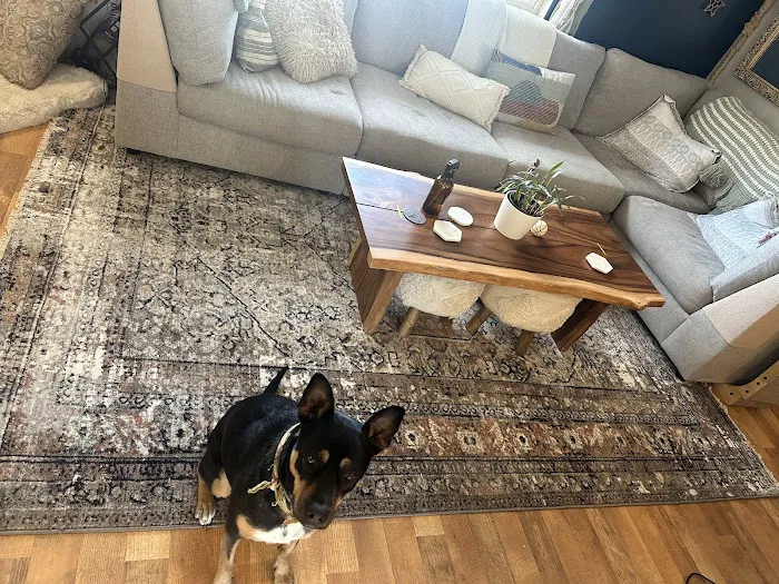 Voda Cleaning & Restoration of Denver Picture 1