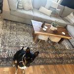 Voda Cleaning & Restoration of Denver