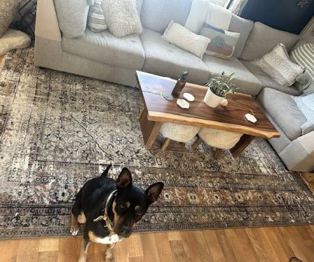 Voda Cleaning & Restoration of Denver