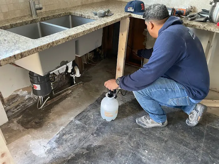 Anatom Restoration - Denver Picture 4