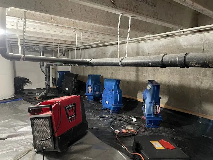 Anatom Restoration - Denver Picture 8