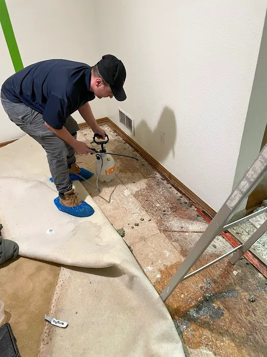 Anatom Restoration - Denver Picture 6