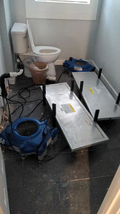 Anatom Restoration - Denver Picture 10