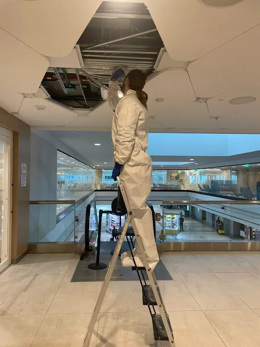 Anatom Restoration - Denver Picture 2