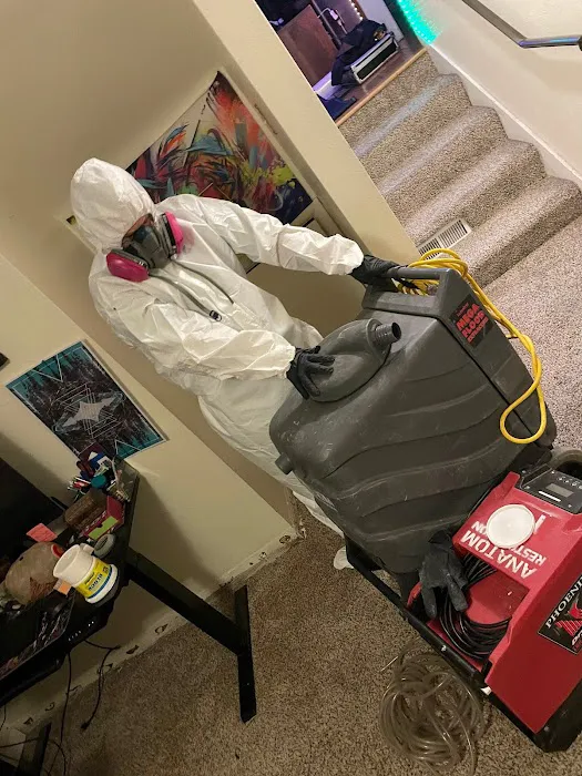 Anatom Restoration - Denver Picture 3