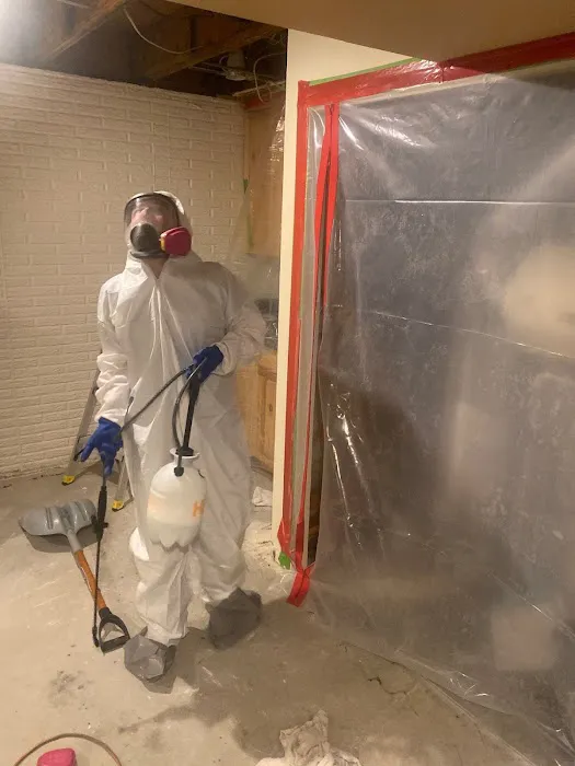 Anatom Restoration - Denver Picture 1