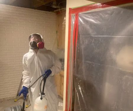 Anatom Restoration - Denver