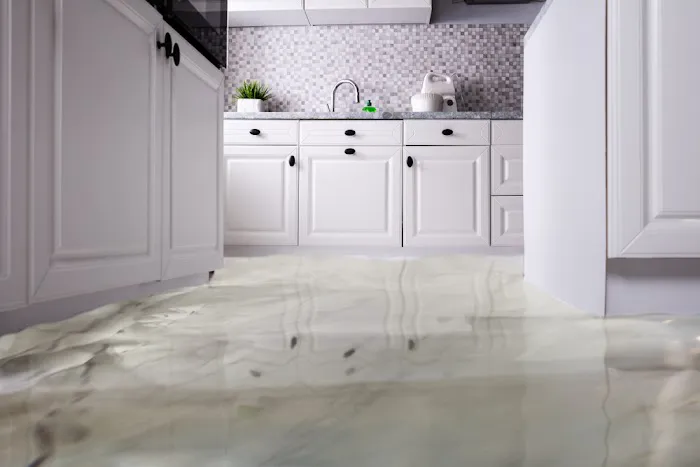 Water Repair Picture 10