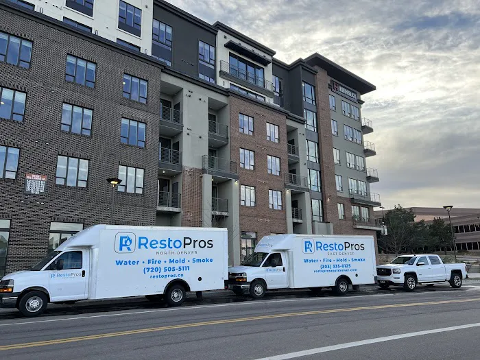 RestoPros of East Denver Picture 7