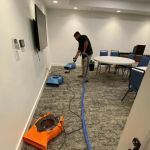 Abbotts Cleanup and Restoration