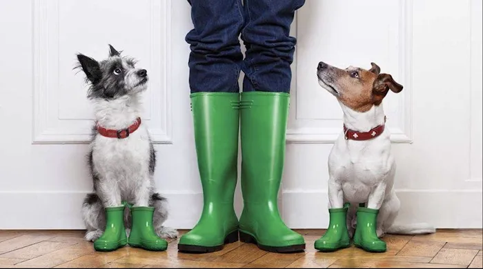 Abbotts Cleanup and Restoration Picture 10