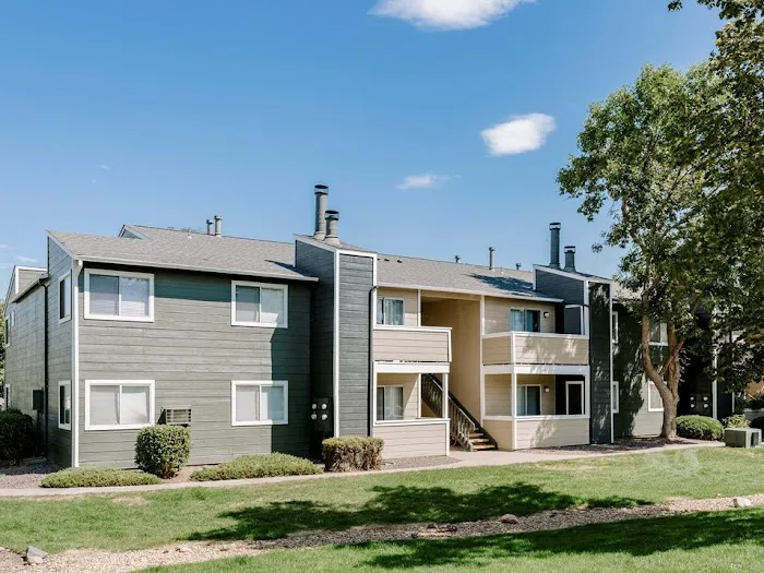 Rapid Restoration & Construction, Inc. Picture 3