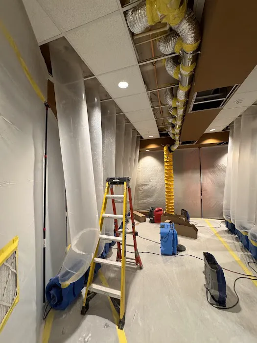 Western Disaster Cleanup Picture 8