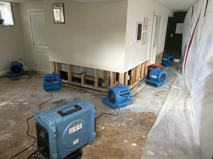 Western Disaster Cleanup Picture 9