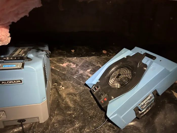 Vertical Restoration of Denver Picture 6