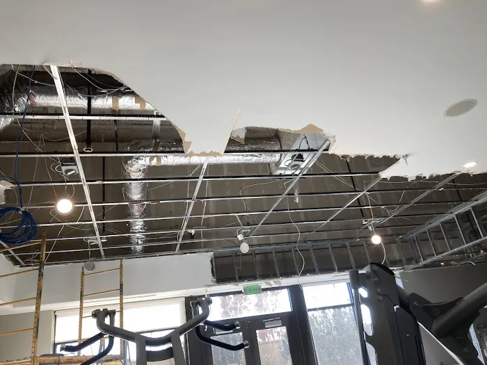 Vertical Restoration of Denver Picture 5