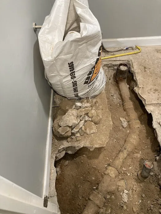 Vertical Restoration of Denver Picture 8