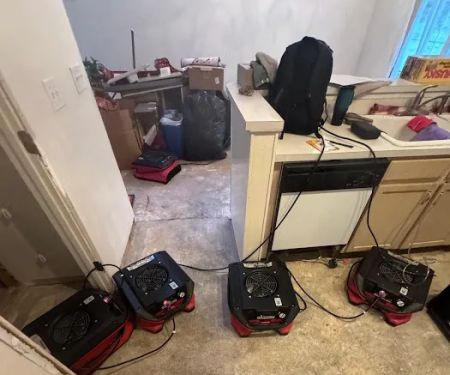 DRYmedic Restoration Services of Parker Colorado