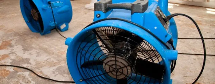 Disaster Cleanup Services Picture 2