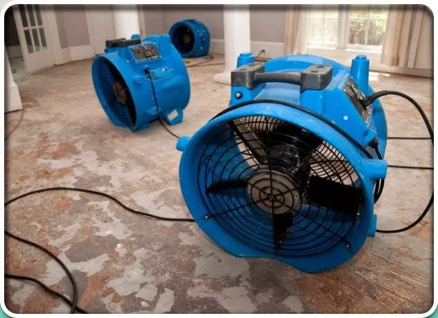 Disaster Cleanup Services Picture 4